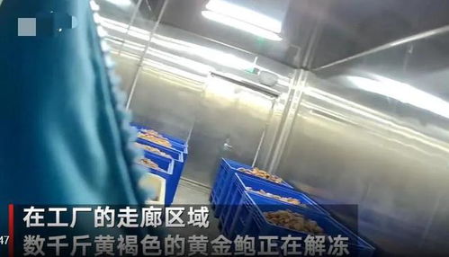 觸目驚心！大連海產品加工廠曝光2大食品黑科技，消費者需警惕識別