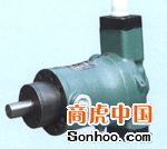 武漢東盛液壓氣動(dòng)設(shè)備——專(zhuān)業(yè)供應(yīng)SCY14-1B軸向柱塞泵及氣動(dòng)液壓系統(tǒng)解決方案